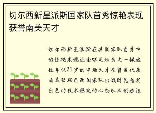 切尔西新星派斯国家队首秀惊艳表现获誉南美天才